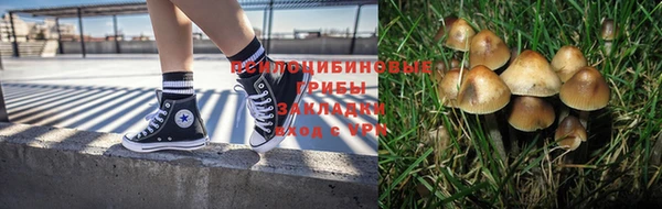 кокс Липки