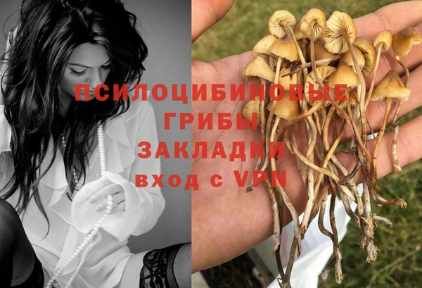 ГАЛЛЮЦИНОГЕННЫЕ ГРИБЫ Аксай