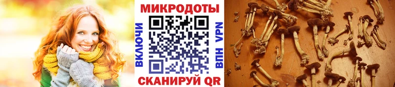 Купить закладки  Лысьва  Галлюциногенные грибы Psilocybine cubensis 